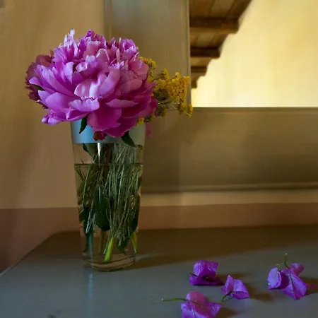 Vila U Mulinu Saparale Sartène