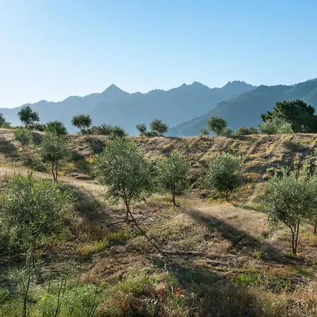 U Mulinu Saparale Sartène