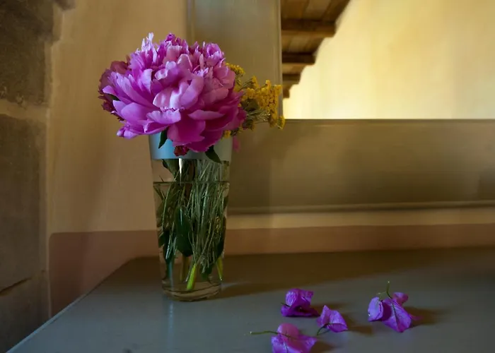 Villa U Mulinu Saparale Sartène